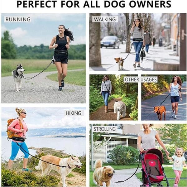 Hands Free Dog Leash Pet Walking And Training Belt With Shock Absorbing Bungee Leash For Up To 180lbs Large Dogs Phone Pocket And Water Bottle Holder - Image 6